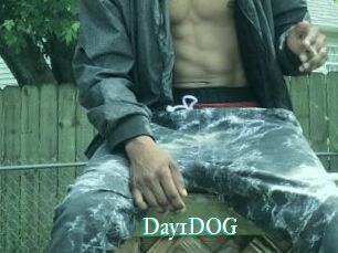 Day1DOG