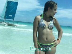 Dinamarin