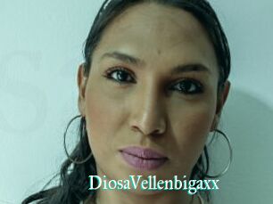 DiosaVellenbigaxx