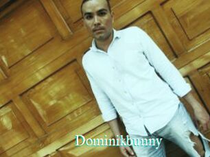 Dominikbunny