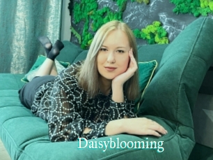 Daisyblooming