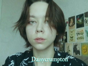 Daisycrumpton
