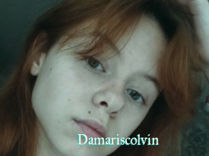 Damariscolvin