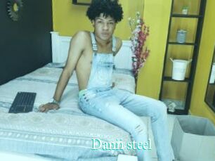Danii_steel