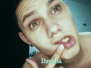 David_sk