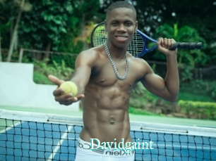 Davidgaint