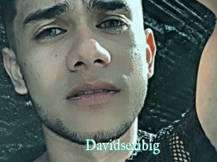 Davidsexibig