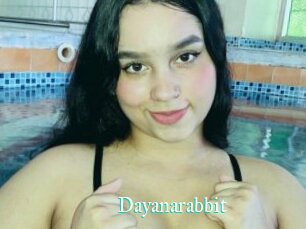 Dayanarabbit