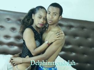 Delphinmondelah