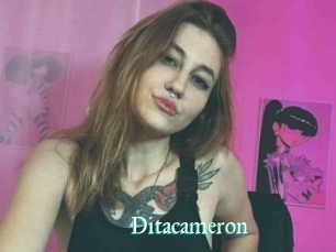 Ditacameron