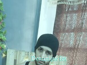 Dominique_fox