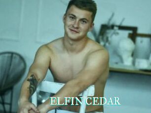 ELFIN_CEDAR