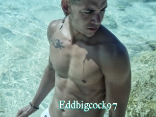 Eddbigcock97