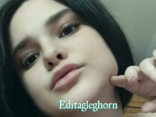 Editagleghorn