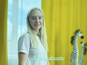 Edwinabunte