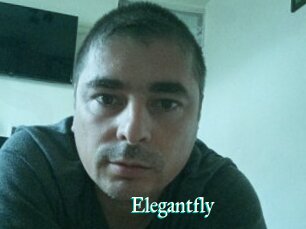 Elegantfly
