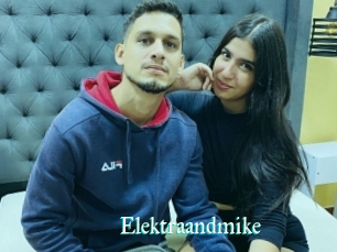 Elektraandmike