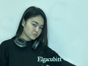 Elgacubitt