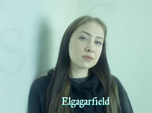 Elgagarfield