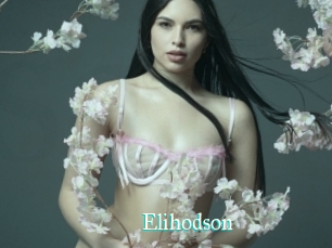Elihodson
