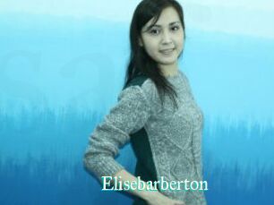 Elisebarberton