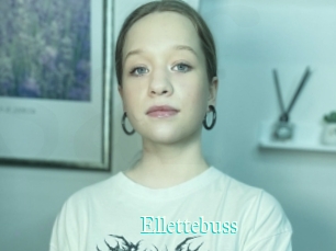 Ellettebuss
