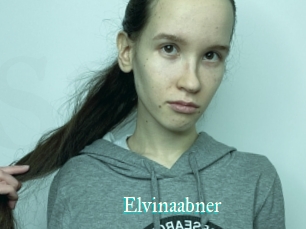 Elvinaabner