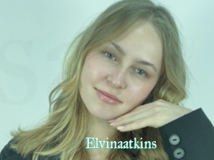 Elvinaatkins