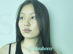Elvinaborer