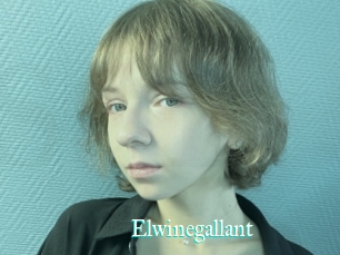 Elwinegallant
