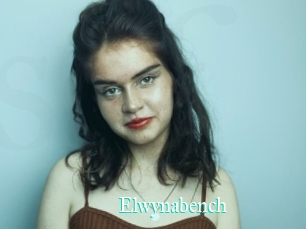 Elwynabench