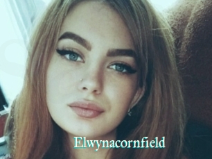 Elwynacornfield