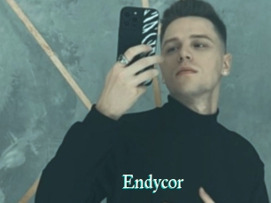 Endycor
