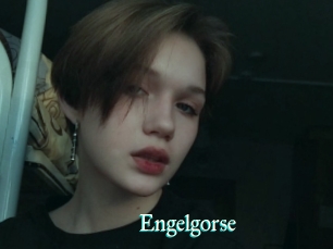 Engelgorse