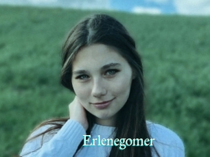 Erlenegomer