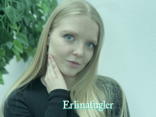 Erlinafugler