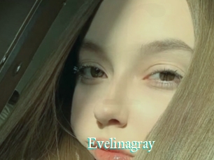 Evelinagray