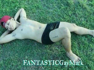FANTASTICGayMark