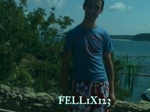 FELL1X123