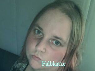 Falbkatze