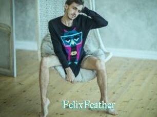 FelixFeather