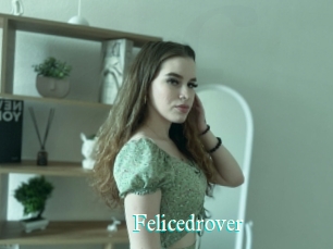 Felicedrover