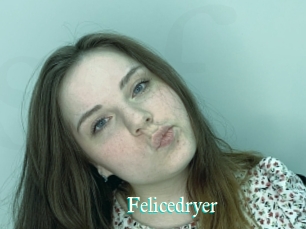 Felicedryer