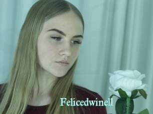 Felicedwinell