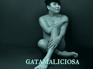 GATAMALICIOSA