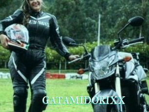 GATAMIDORIXX