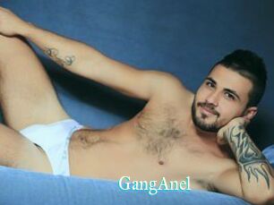 GangAnel