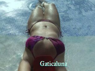 Gaticaluna