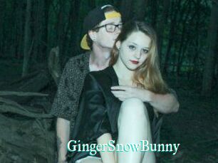 GingerSnowBunny