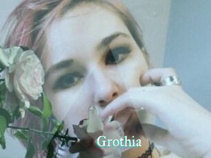 Grothia